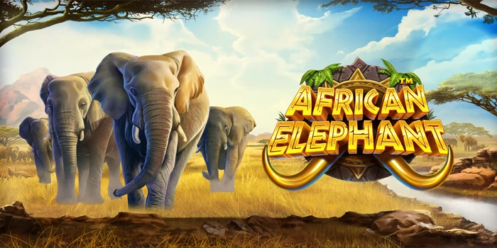 Analisis Akurat Slot African Elephant Untuk Pemain Profesional